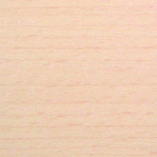 Buche Natur (TP17) - gebeizt